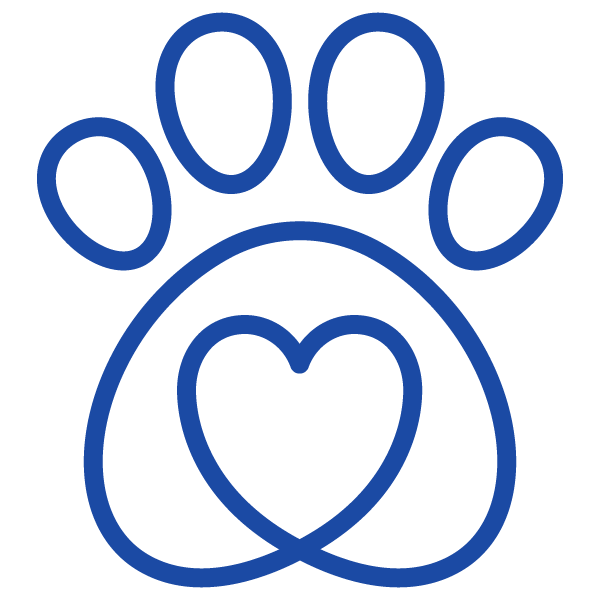 Wellness Care for Puppies & Kittens  in Toronto, Ontario