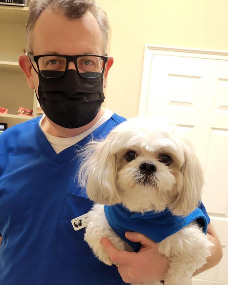 Dog At Clinic With Doctor