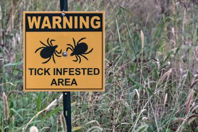 Yellow and black sign in tall grass and weeds that says "Warning, Tick Infested Area"