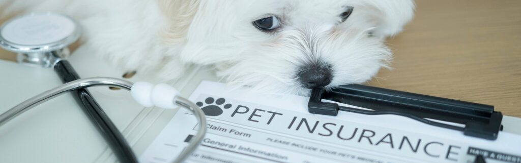 Small white dog laying near a clipboard with a Pet Insurance Form