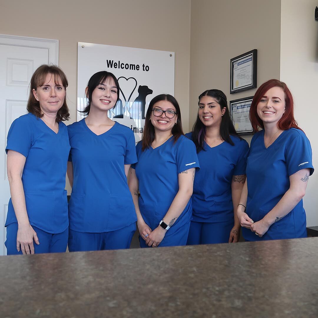 About Our Team At Westway Animal Clinic