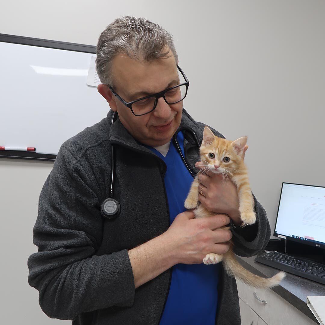 Doctor With Cat