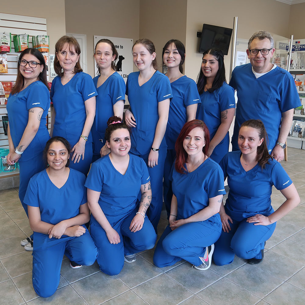 Our Team At Westway Animal Clinic