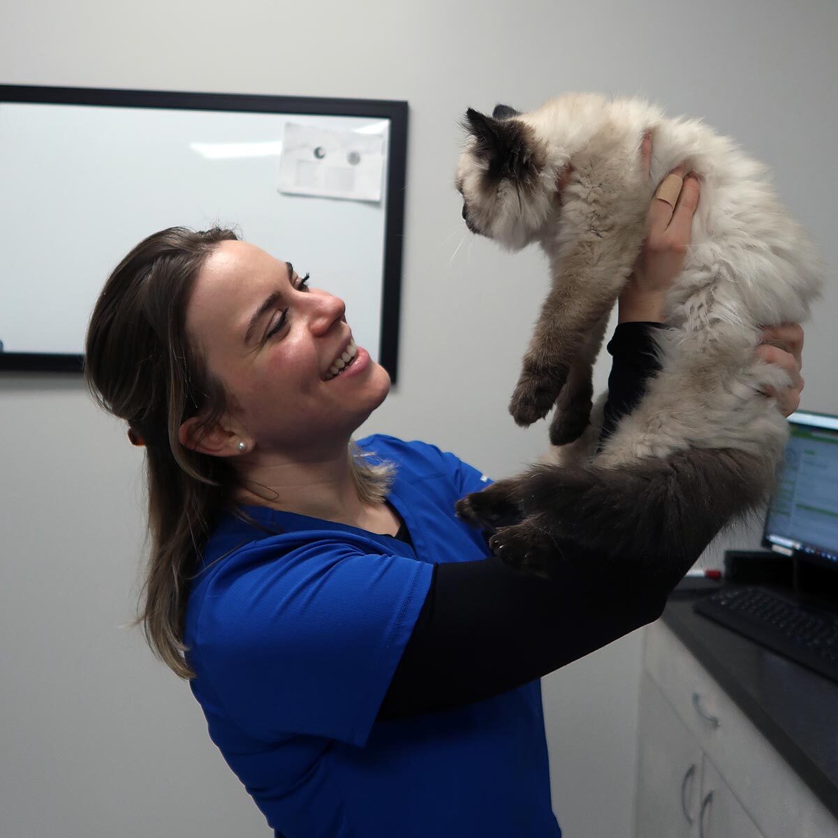 Request An Appointment At Westway Animal Clinic